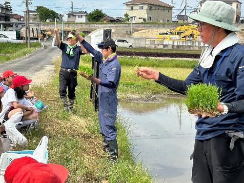 鷲塚小田植え体験1