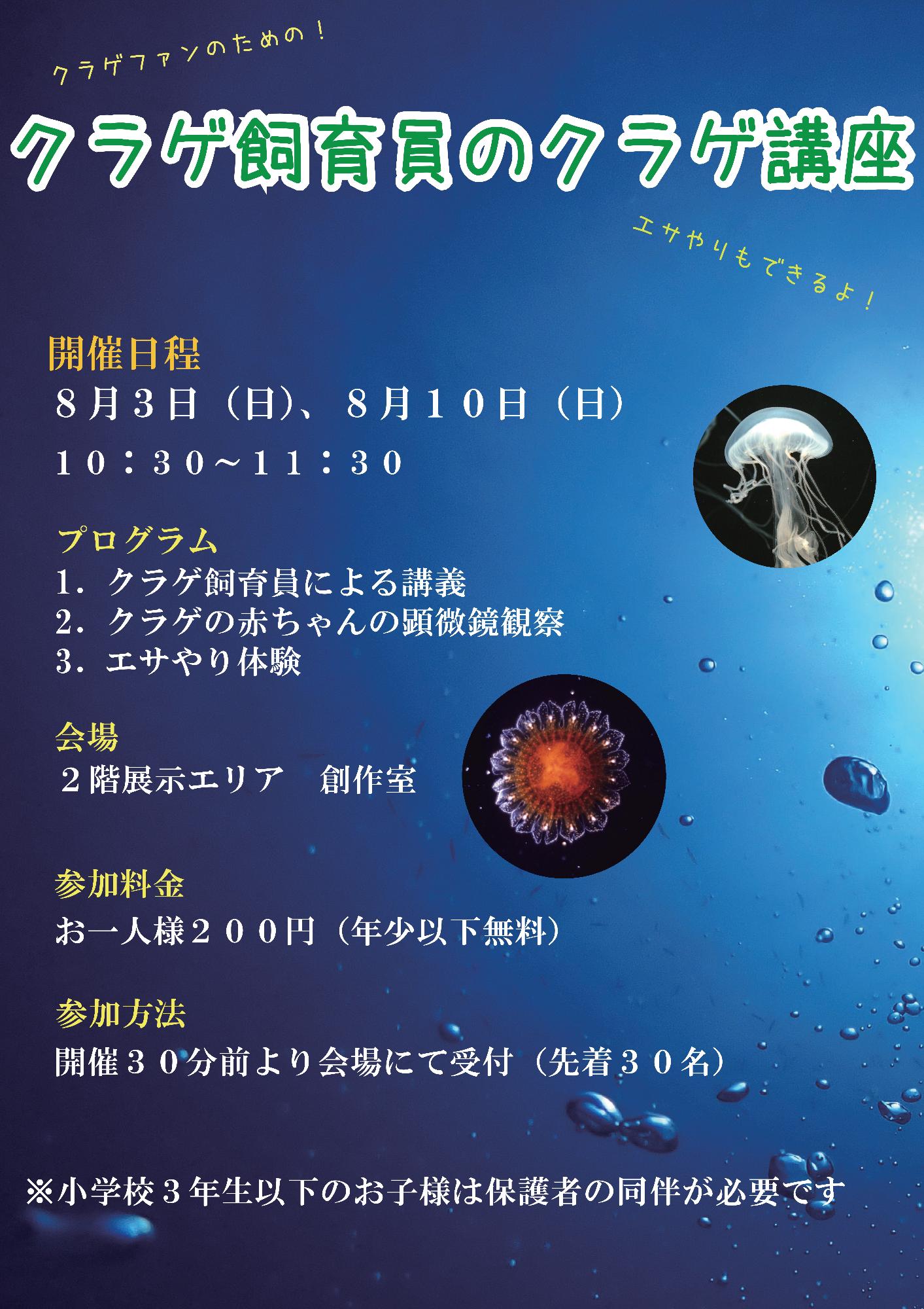 R7クラゲ