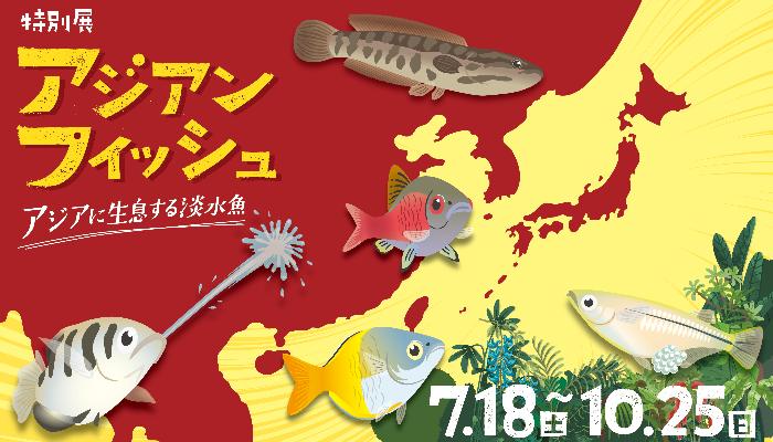 令和8年特別展バナー