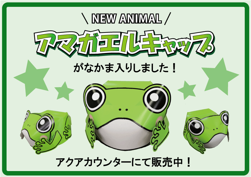 アマガエル新登場