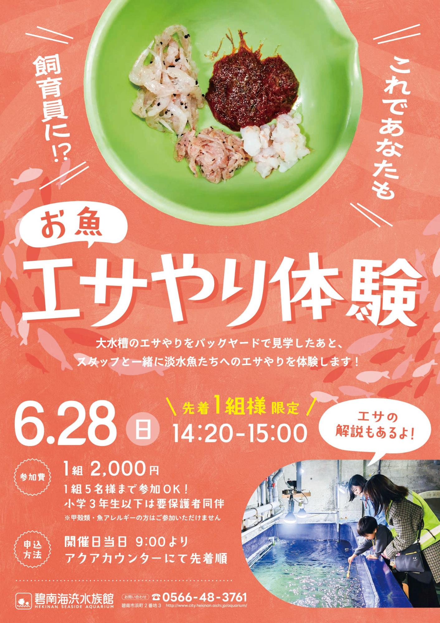 eayari_6