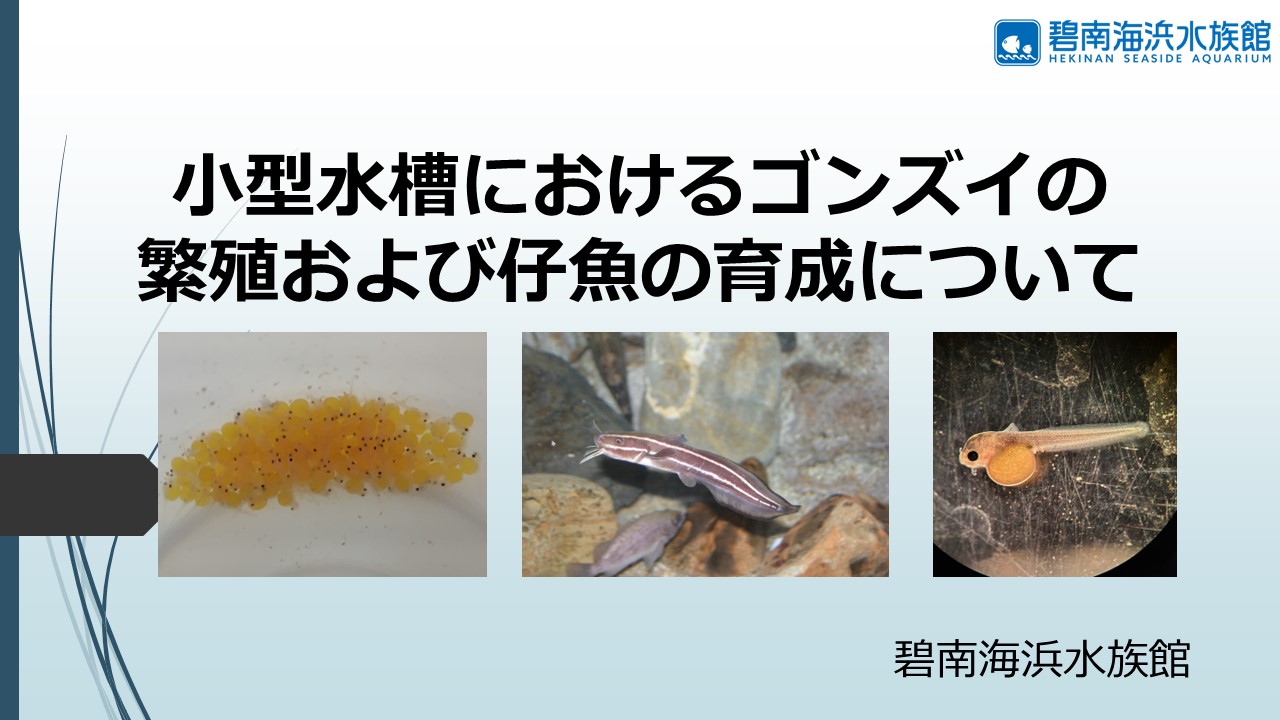 gonzui