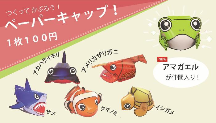 ペーパーキャップ全6種類