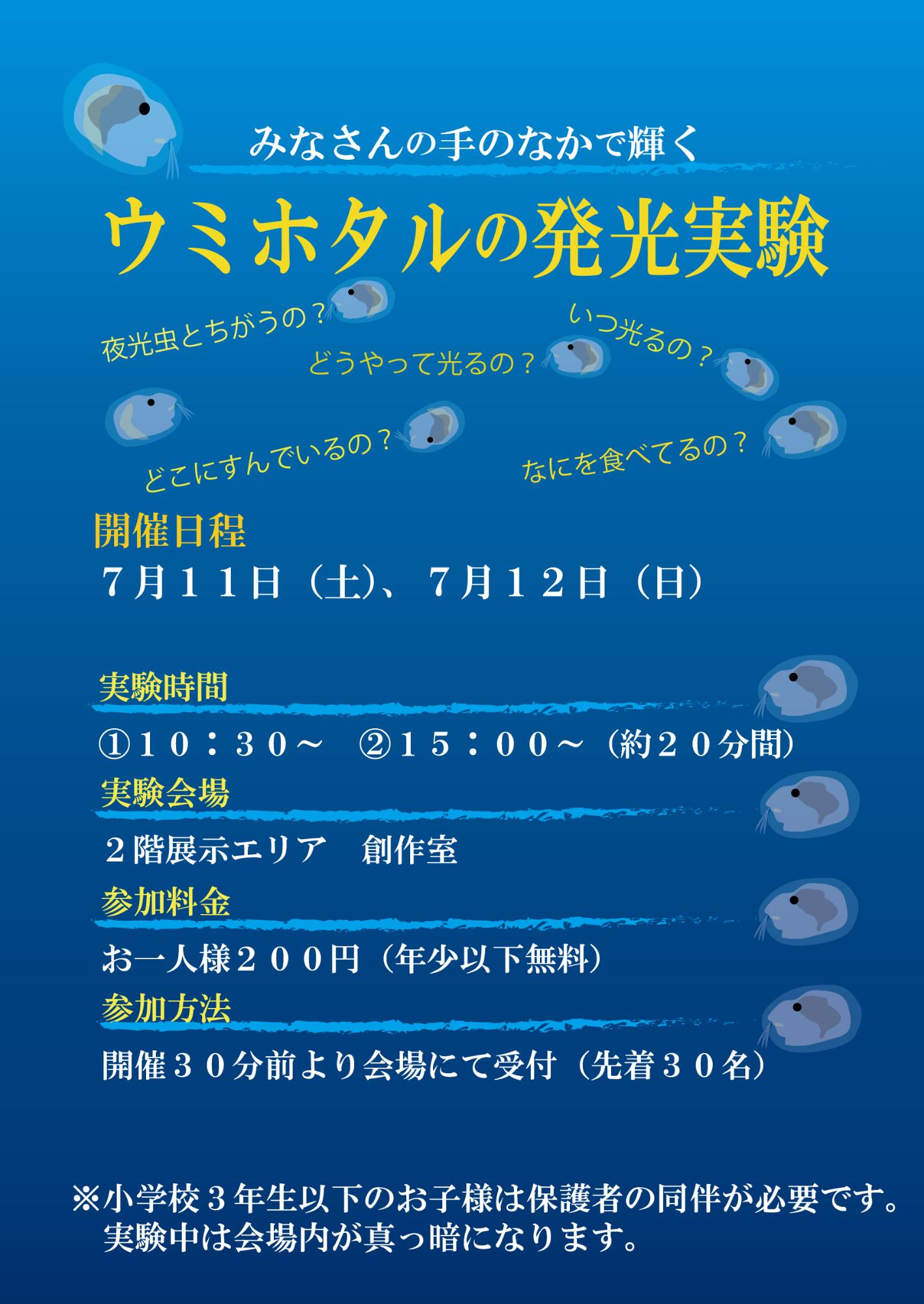ウミホタルの発光実験ポスター
