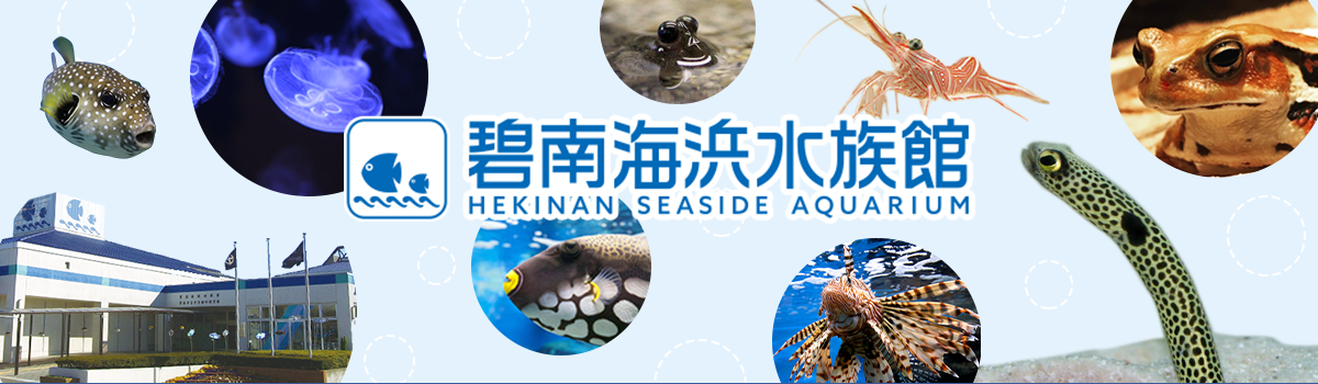 碧南海浜水族館