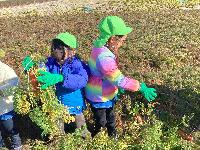 R7にんじんほり2