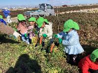 R7にんじんほり1