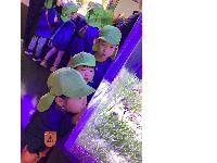 R7バス遠足わかば組