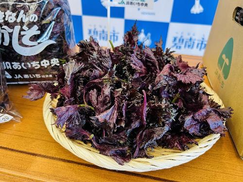 しょうがしそ部会表敬訪問2