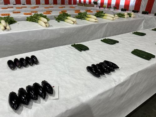 農畜産物総合共進会審査会1