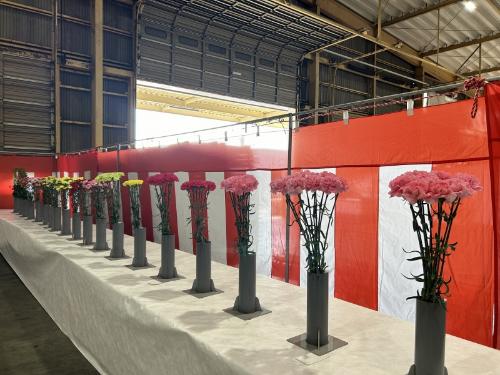 農畜産物総合共進会審査会2