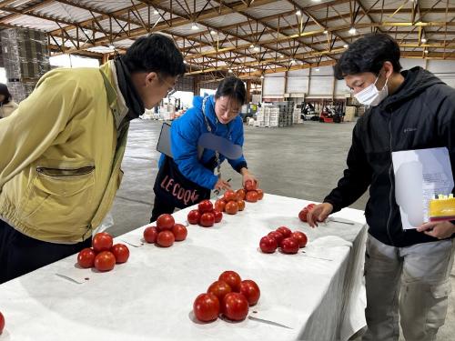 農畜産物総合共進会審査会4
