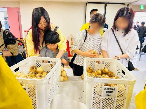 へきなんたまねぎ詰め放題5