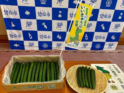 胡瓜生産部会碧南支部表敬訪問6