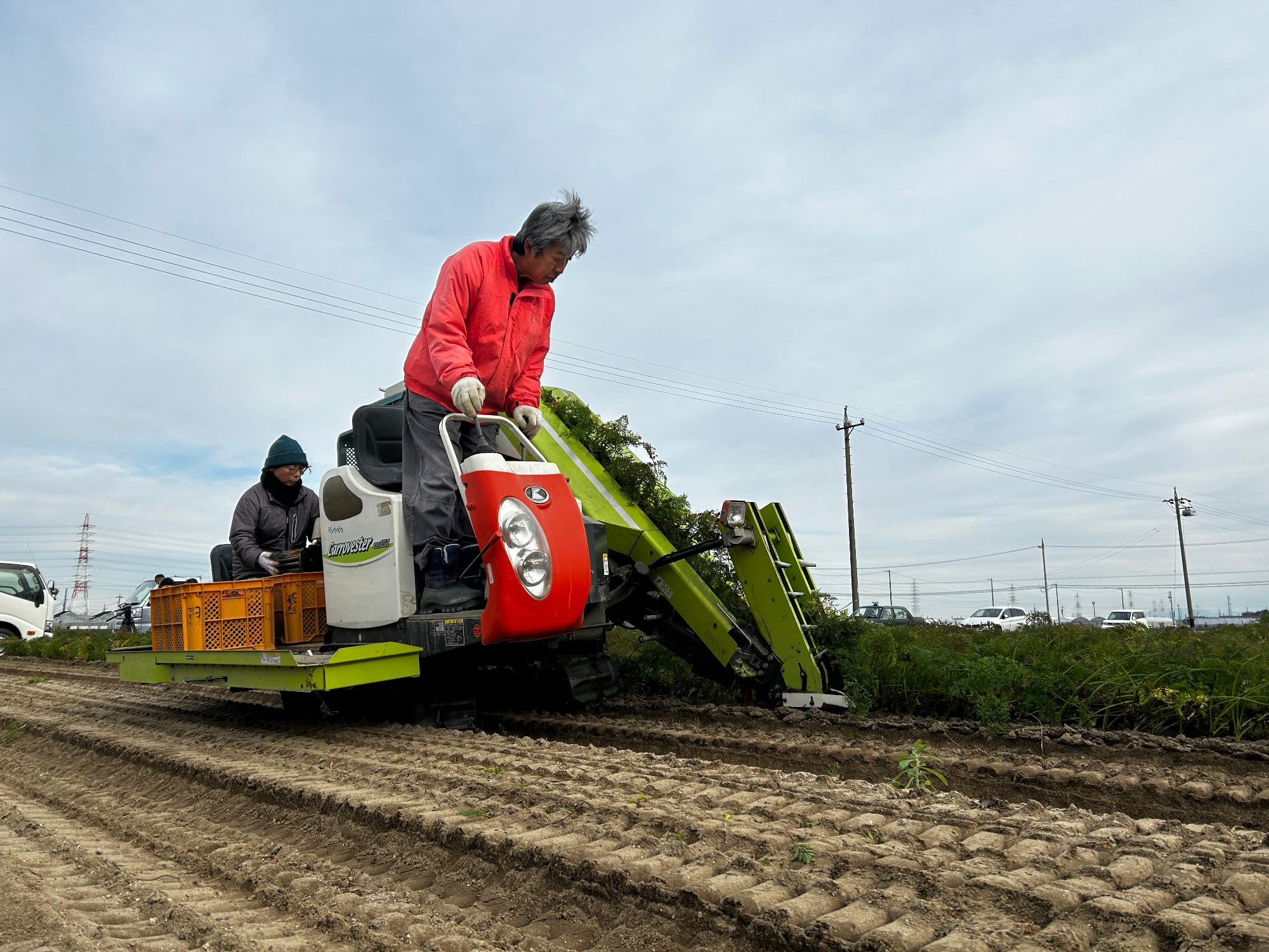 R8_ニンジン最盛期3