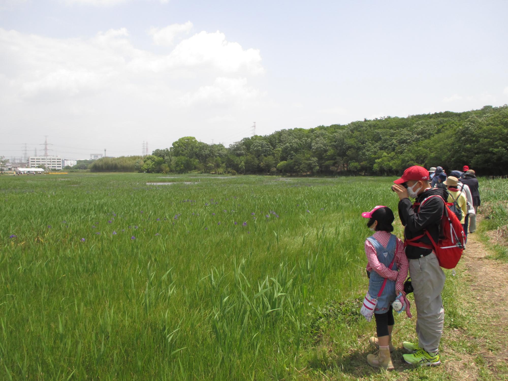 5月9日自然観察会