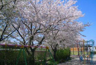 道場山西公園画像