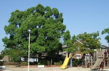 源氏神明公園画像