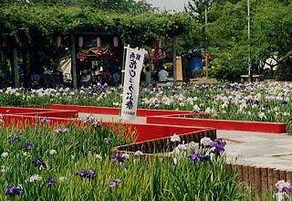 油ヶ淵遊園画像