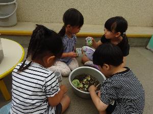 虫探し