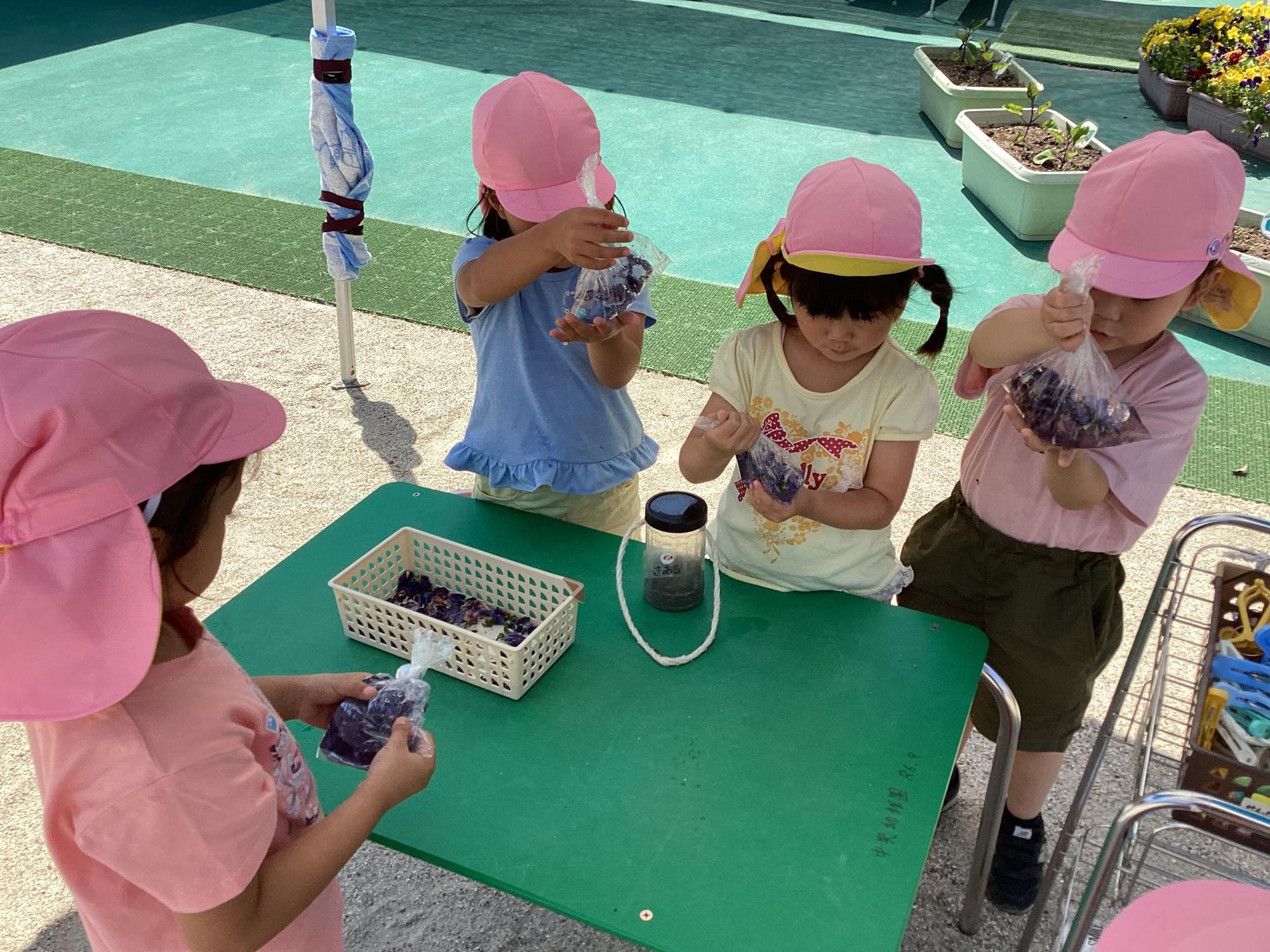 色水遊び
