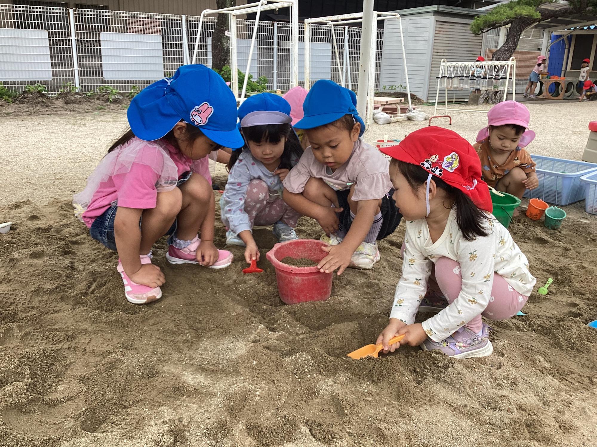 どろんこ遊び
