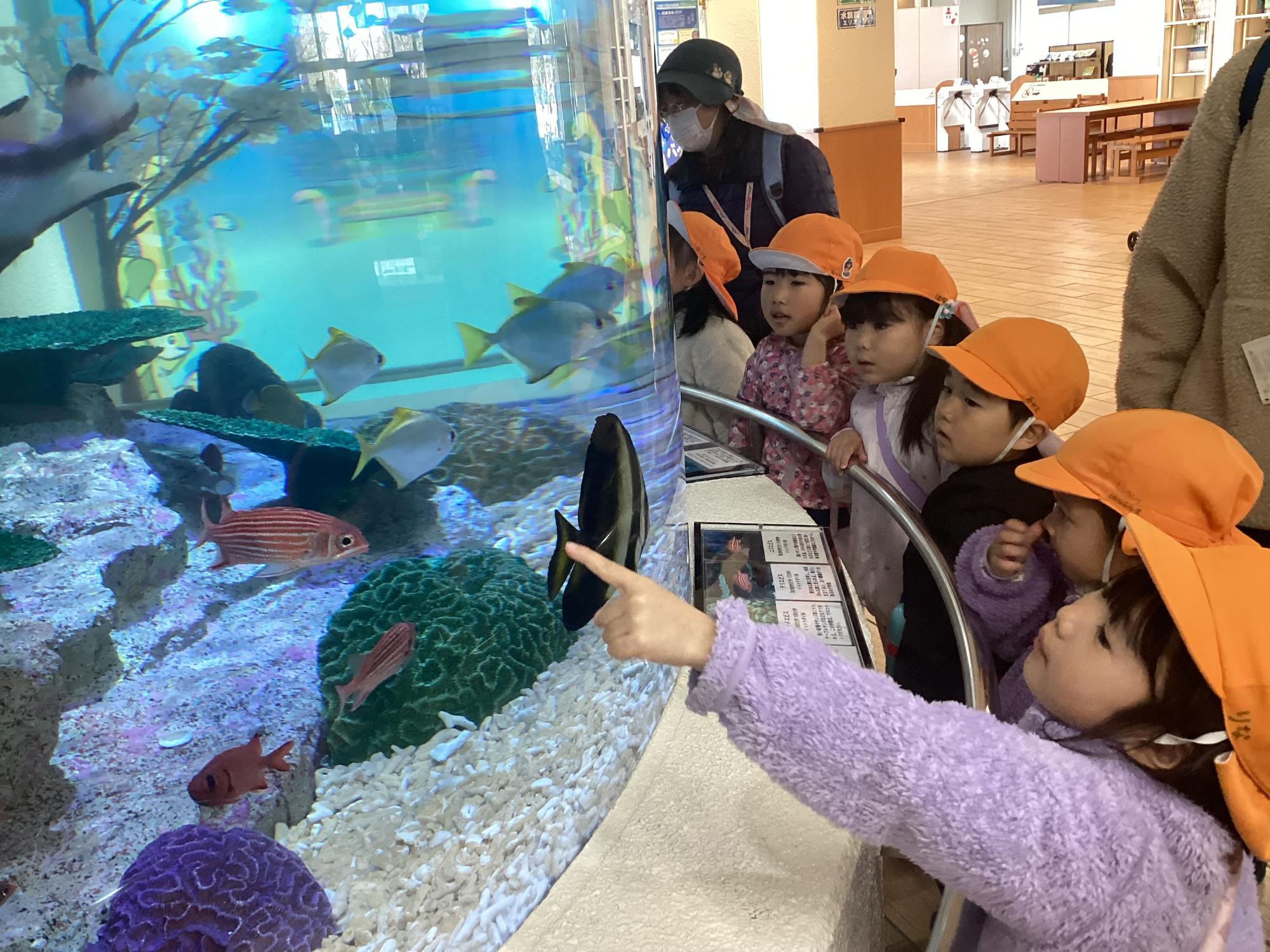 3歳児 お別れ遠足 バスに乗って水族館へ