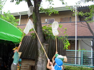 園庭の木のそばで虫取り網を掲げる園児たちの写真