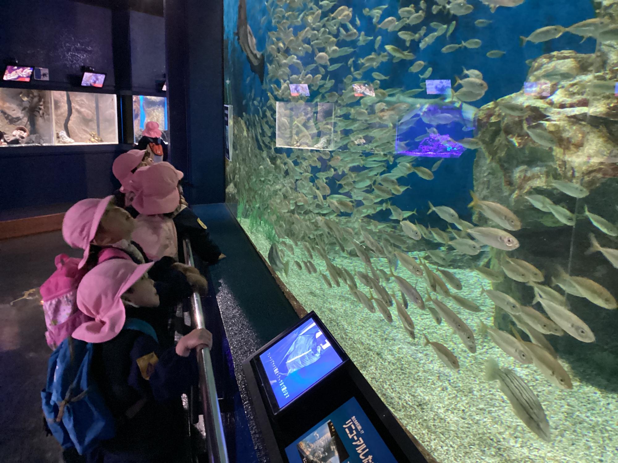 水族館2