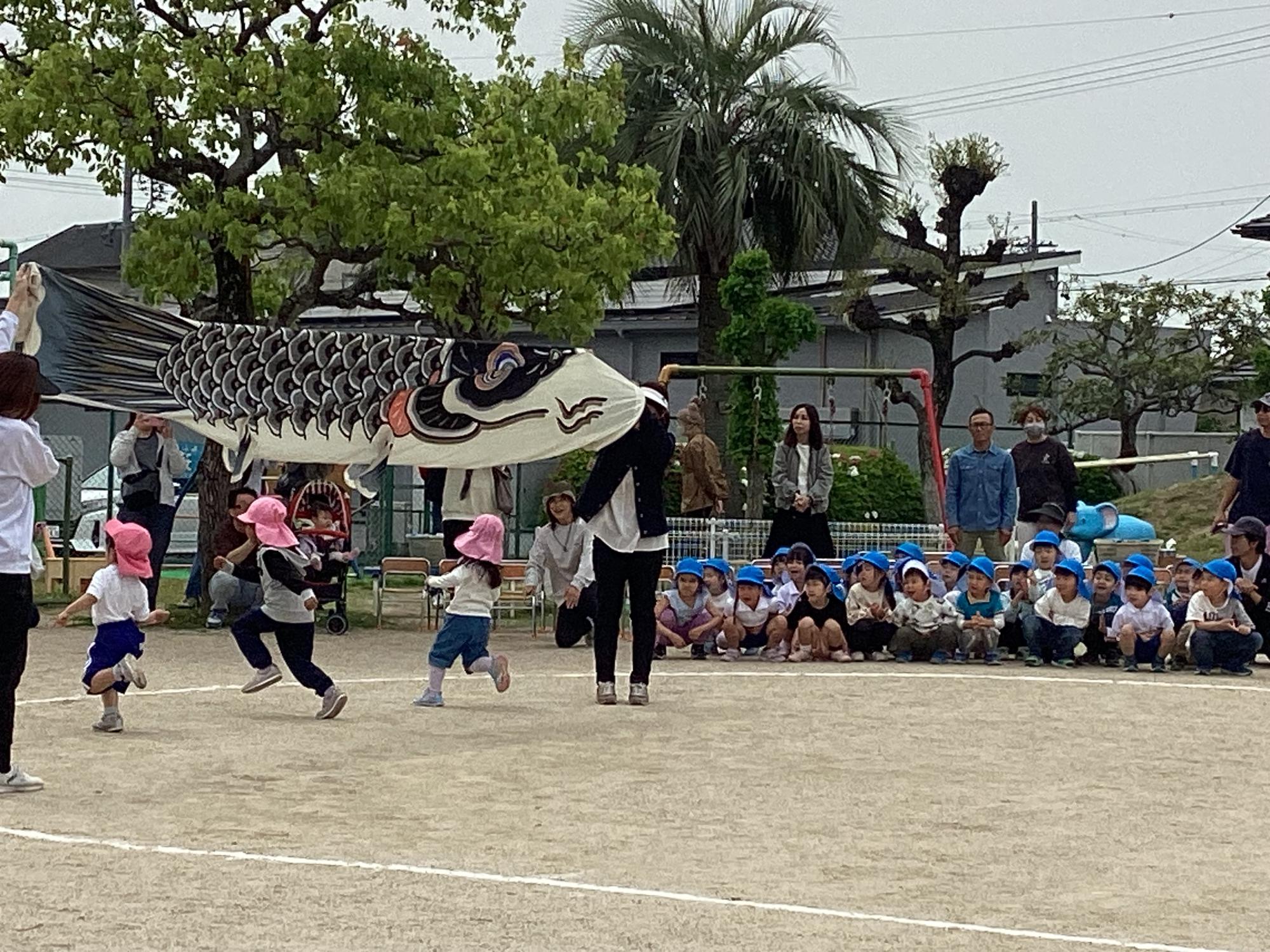 こいのぼり運動会（4歳かけっこ）