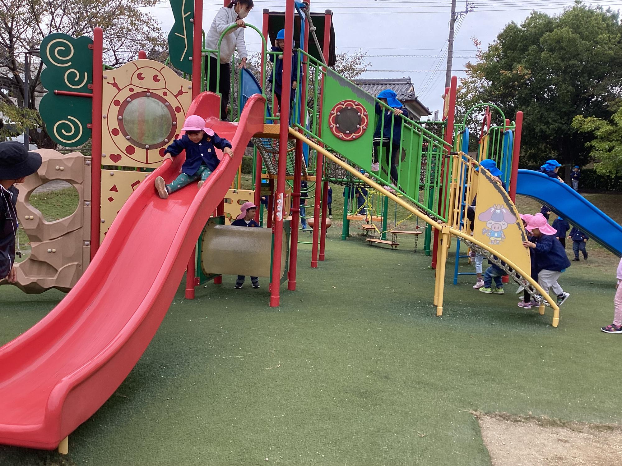 4・5歳児 秋の遠足