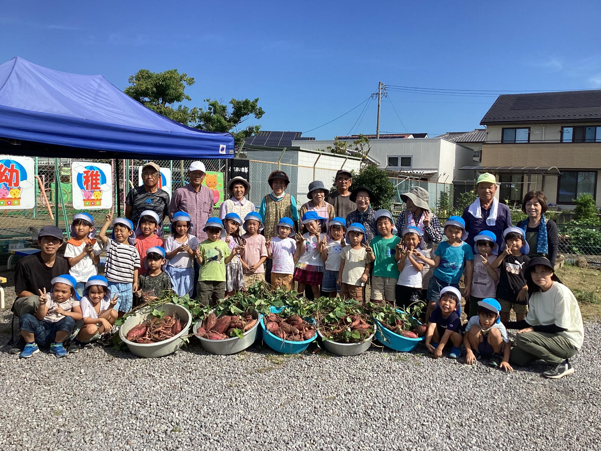 さつまいもがたくさん採れたよ