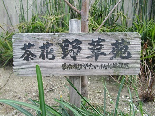 野草苑看板