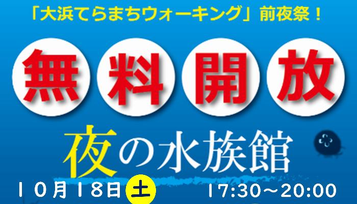 夜の水族館