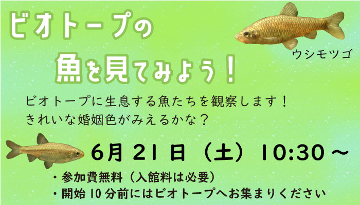 ビオトープ観察会
