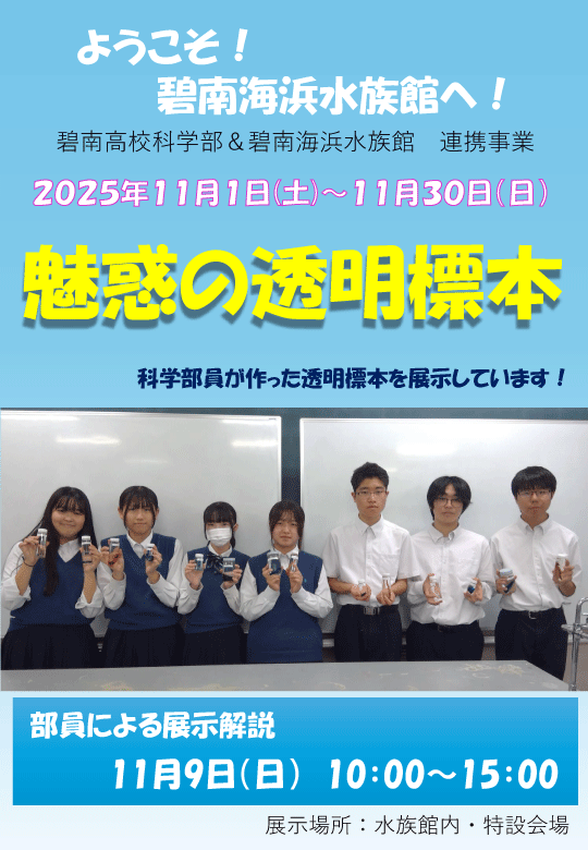 透明標本展案内