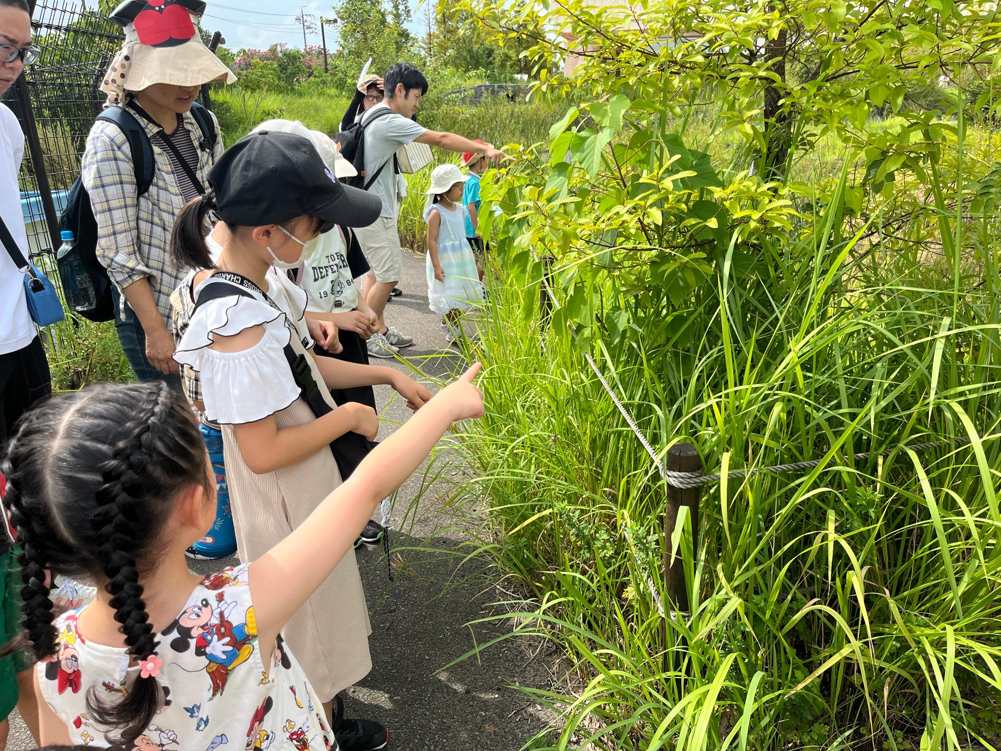 ビオトープ観察会2