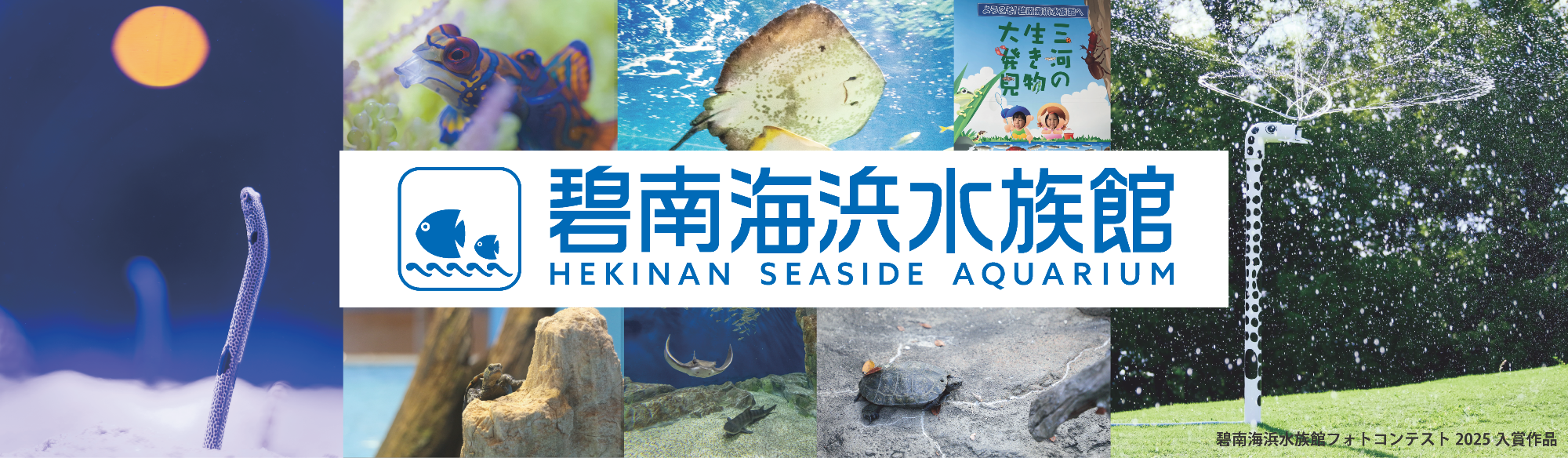 碧南海浜水族館