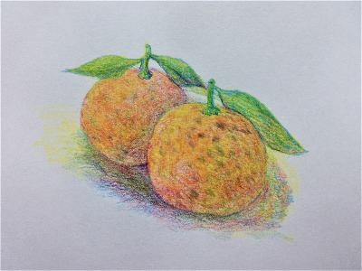 ぬる かく 重ねる